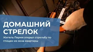 Житель Перми открыл стрельбу по птицам из окна квартиры