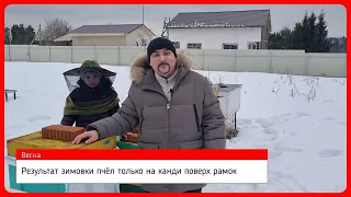 🔴 Возможна ли зимовка пчел на пустых рамках? Лишь с пакетами канди? Смотрим результат эксперимента 🔴