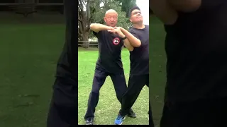 Master the Art of Self-Defense: Learn Chin Na Techniques for Escaping Hand Holds!