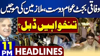 Dunya News Headlines 11:00 PM | Budget 2024-25 | Good News For Govt Employees | 23 May 2024