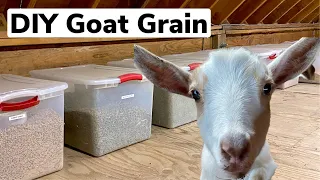 DIY Goat Grain - How to Mix your Own Grain