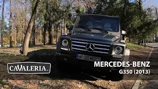 Mercedes-Benz G350 (2013) - Cavaleria.ro