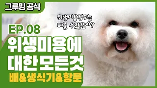 강아지 위생미용&부분미용, 이렇게 간단한데 말이죠! [그루밍 공식 EP.08]