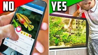 How To Get Better With Aquariums [5 EASY TIPS]