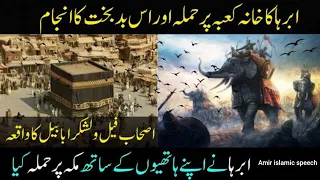 Birds Defending KAABA | Urdu Dubbed | (پرندے کعبہ کا دفاع کرتے ہیں)Amir islamic speech