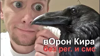 ЖЕСТЬ! вОрон Кира без регистрации и СМС.