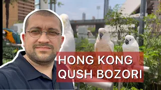 Hong Kong Qush Bozoriga sayohat | Jasur Mavlyanov