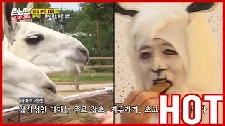 [HOT CLIPS] [RUNNINGMAN]  | Members became characters?! 😨😨 XD (ENG SUB)