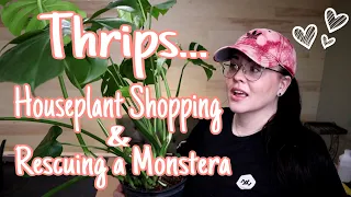 Houseplant Shopping | Saving My Monstera From Thrips