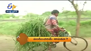 7:30 AM | ETV 360 | News Headlines | 17th June 2022| ETV Andhra Pradesh