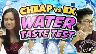 Cheap vs Expensive Water Taste Test