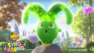 HOPPER'S MAGIC EARS | SUNNY BUNNIES SING ALONG COMPILATION | Cartoons for Kids | Nursery Rhymes