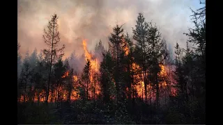 Якутск: лесные пожары всё ближе, в городе нечем дышать! #Russia #Yakutsk #forestfire