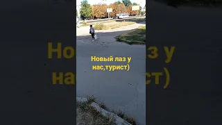 на дорогах новый лаз