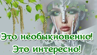 Это необыкновенно! Это интересно!  Красивые березы!