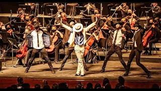 The Evolution of Dance Ricardo Walker Book now MJ Experience show at WWW.ALLIANCEENTERTAINMENT.ORG