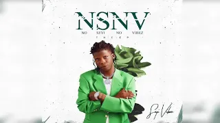 Seyi Vibez - NSNV (Official Audio)