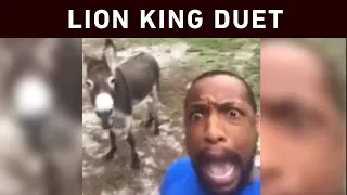 Man and donkey perform Lion King duet