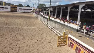 Junior latercio campeão profissional em serrinha BA