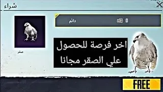 واخيرا عوده حدث الصقر 😱 سارع للحصول على الصقر مجانا لجميع اللاعبين🔥😍 بطاقات شخصية مجانا PUPG MOBILE