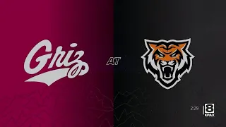 FULL HIGHLIGHTS: No. 3 Montana stays unbeaten with road win over Idaho State
