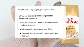 чем кормить сфинкса? ответ тут🐈