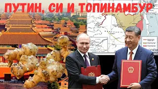 Путин, Си и томинамбур @bild_ru