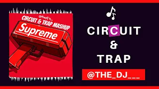 Circuit & Trap Mashup | 150 BPM | Bollywood Remixes | Tribal Remix | DJ Tirth