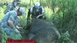 Hogzilla Hog Hunt, 1173lb, NO FENCES, Ken Reed Productions