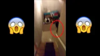 Top 5 Shadow Ghosts Caught on Camera