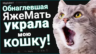 ЯЖЕМАТЬ украла мою КОШКУ🐈🙀