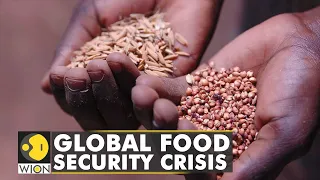 UN holds special meet on global food security crisis, warns that food crisis could last decades
