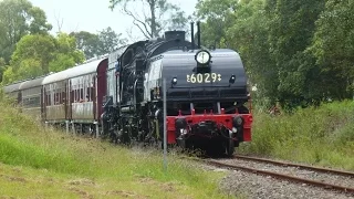 Garratt #6029 at the Thirlmere Festival of Steam 2015