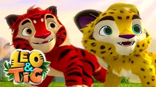 Leo and Tig - Episode 11 - The Rise of the Dragon - Cartoon for Kids Movies -  Moolt Kids Toons