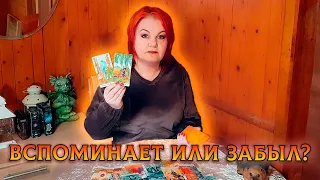 ХОЧЕШЬ УЗНАТЬ? ВСПОМИНАЕТ ИЛИ ЗАБЫЛ?