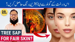 Full Skin/Body Whitening With Tree Sap/Darakhat Ki Gond - Rang Gora Karne Ka Tarika - Urdu/Hindi