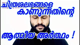 Butterfly Spiritual Meaning Metaphysics New Age Para Psychology Malayalam Spiritual Talk Geo Kappen