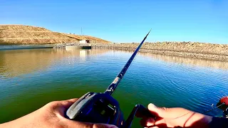 Topwater Frog Fishing(O'neill Forebay)