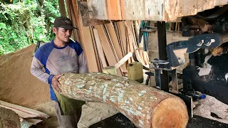 Gaspol! Penggergajian kayu mahoni lokalan