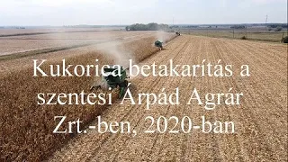 Kukorica betakarítás a szentesi Árpád Agrár Zrt.-ben, 2020-ban