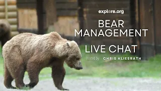 Bear Management | Brooks Live Chat