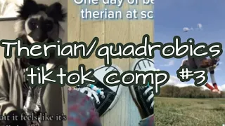 || therian/quadrobics tiktok comp || #3 || non of these r mine! ||