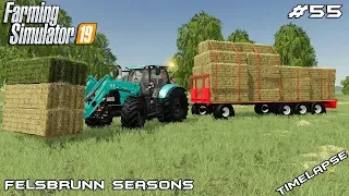 Mowing,baling & carting hay | Animals on Felsbrunn Seasons | Farming Simulator 19 | Episode 55