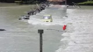 Watch :Massive Crocodile Crosses Bridge In Front Of Car