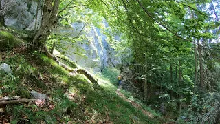 casera Razzo, col Marende, crodon di Tiarfin (cima est), casera Tartoi, casera Tragonia - 16/08/2022