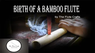 Birth Of a Bamboo Flute | making Of Bamboo flute |