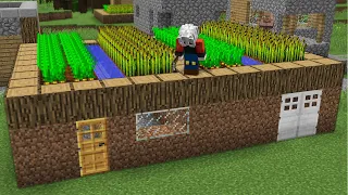 1000$ GİZLİ TARLA EV - Minecraft