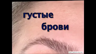 БРОВИ ГУСТЫЕ  И ТЕМНЫЕ