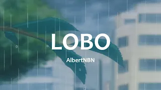 AlbertNbn - Lobo (Versuri/Lyrics)