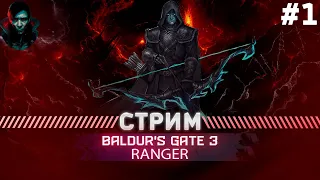 Baldur's Gate 3  ПРОХОЖДЕНИЯ ТАКТИКА  СОЛО